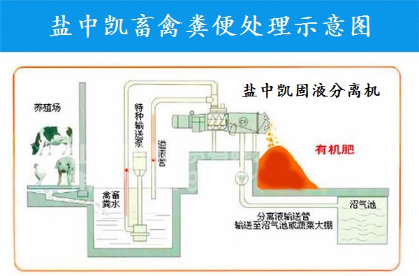 91短视频在线下载