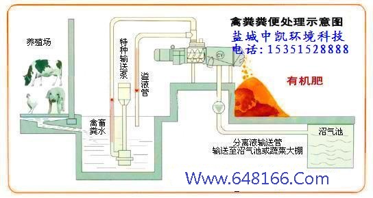 91短视频版示意图